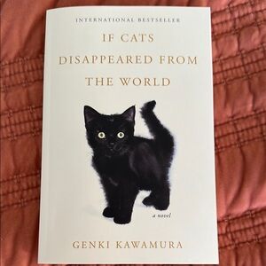 'If Cats Disappeared from the World' Book - Black Cover